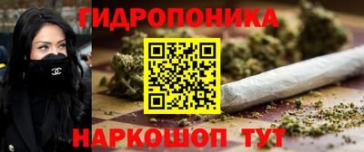 тгк Кимры