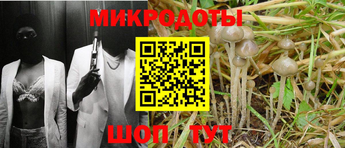 Курган  Псилоцибиновые грибы MAGIC MUSHROOMS  Вход с VPN 